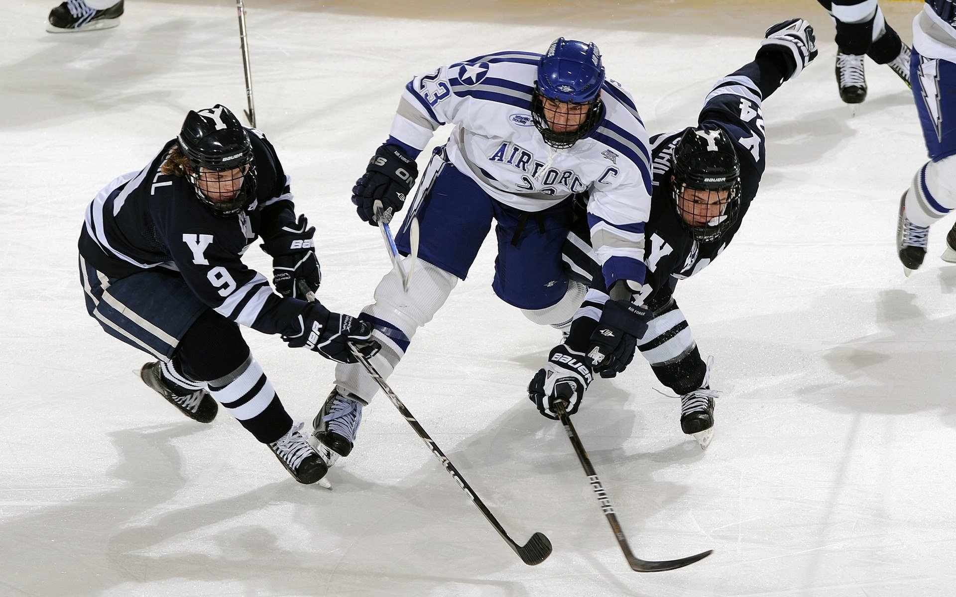 切尔西青训体系成果显现,切尔西青年