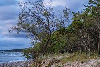 朱婷助球队拿下关键战女排世界杯，朱婷女排吧 朱婷个站